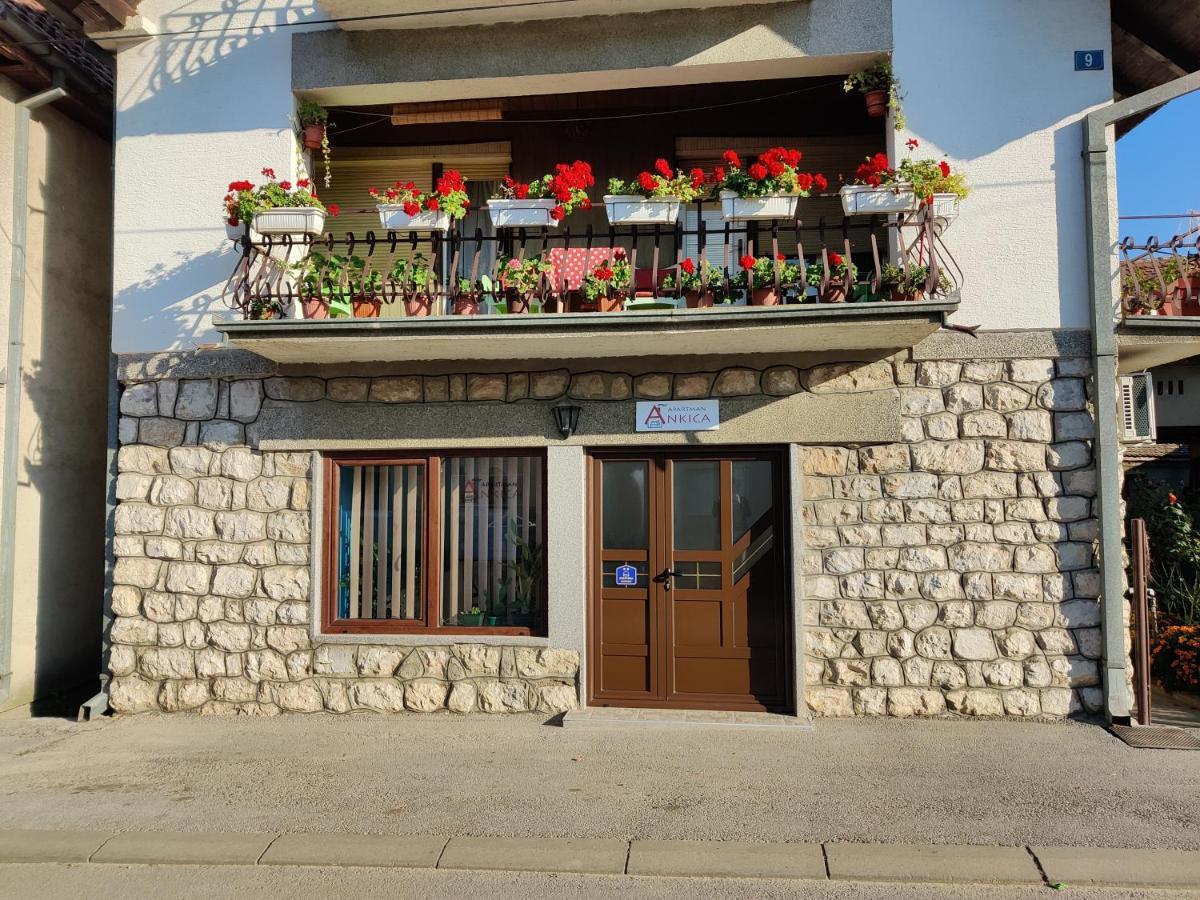 Apartman Ankica Голубац Екстериор снимка